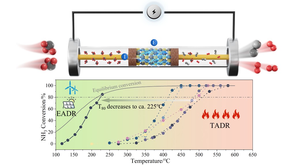 1738807840328366.jpg 林赫2.jpg
