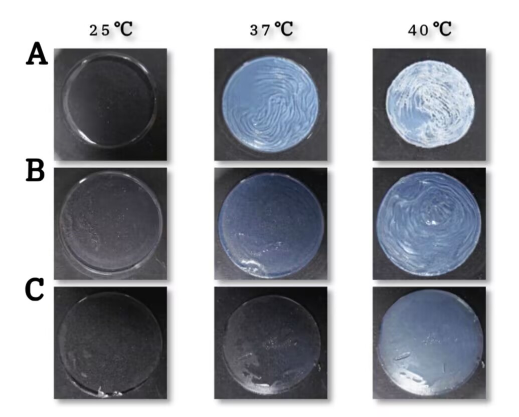 1755159434718282.jpg 微信圖片_2025-08-14_155726_691.jpg